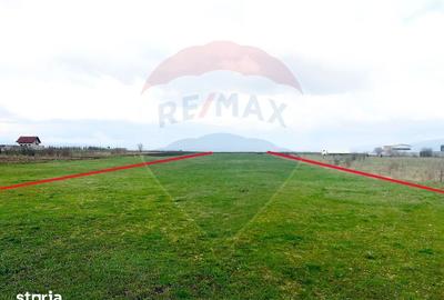 Teren de 3545 mp, în Tărlungeni - 3