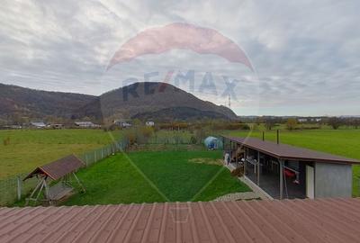 Casă individuală cu 6 camere cu Teren 1359 Mp în Est - 11