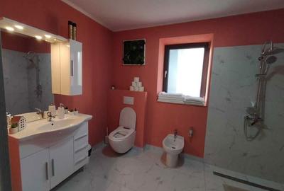 Casă cu 2 camere în Variaș - 4