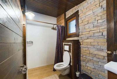 Pensiune de Lux pe Malul Dunarii in Dubova - 8