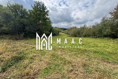 Teren agricol intravilan de 4717 mp, în Sadu - 1