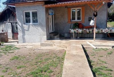 Casa spatioasa in Sanmihaiu de Campie - 12