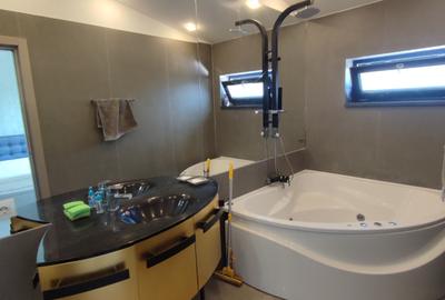 Vilă elegantă de închiriat în Colentina – Sportului, complet mobilată și utilată - 14