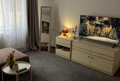 Apartament 1 camera- Spitalul Municipal Timisoara- de inchiriat - 2