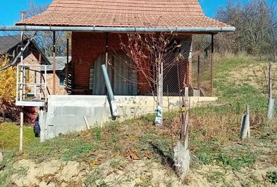 Casă cu 3 camere în Zăuan - 1