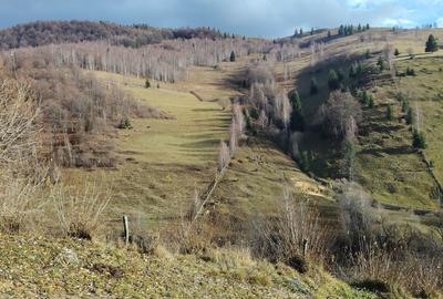 Spațiu comercial, în Florești