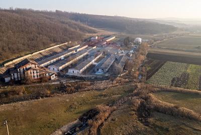 Fosta Ferma a Partidului  de la Horgesti - de vanzare - 8