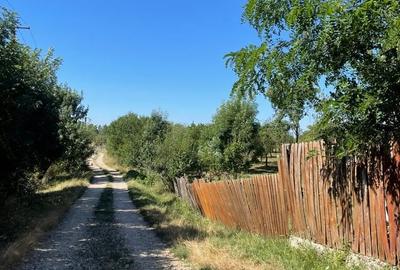 Casă cu 3 camere în Gliganu de Sus - 6