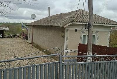 Casă cu 6 camere cu Teren 1900 Mp în Mihai Bravu - 3