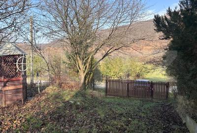 Casa de vacanta de vanzare, in Lisnau - Comuna Ozun - 9