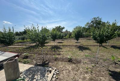 Teren de 880 mp, în Exterior Vest - 4