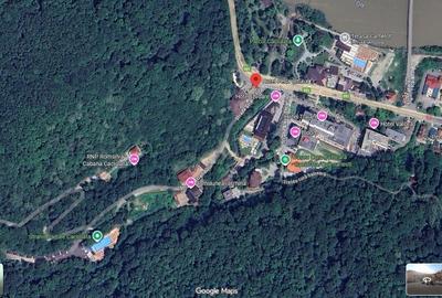 VANZARE / INCHIRIERE : Teren / padure cu izvor apa termanala si izvor mineral - 13