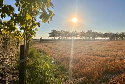 Teren în Central - 4