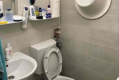 Garsonieră nedecomandată în Dacia - 10