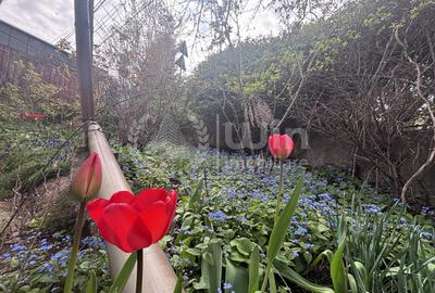 Casă individuală cu 3 camere cu Canalizare în Gruia