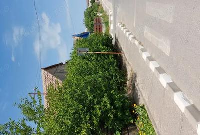 Casă cu 4 camere în Murighiol - 5