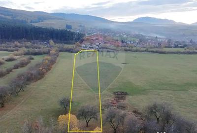 Teren de 5800 mp, în Purcăreni - 2