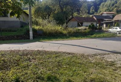 Teren de 6470 mp, în Nădrag - 2