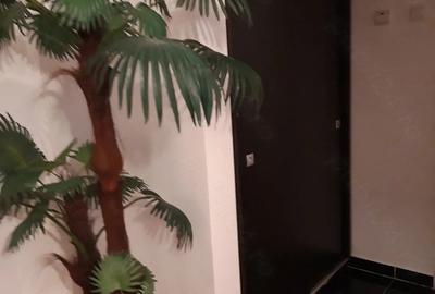 Apartament cu 2 camere nedecomandat în Dorobanți