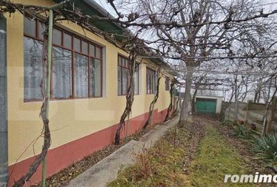 Casa individuala 3 camere, teren 2200 mp, garaj, terasa, pivnita, Pianu de Sus - 3
