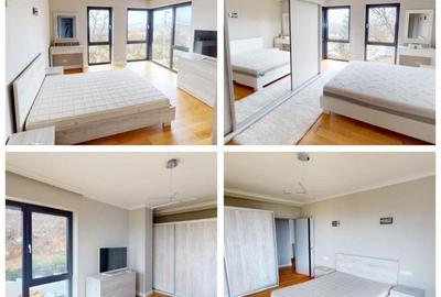 Casa individuala cu 4 camere in Faget cu 500 mp curte - 5