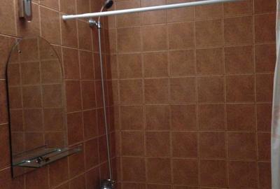 Apartament cu 2 camere semidecomandat în Rogerius - 8