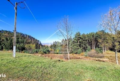 Teren de 3000 mp, în Poiana Angelescu - 5