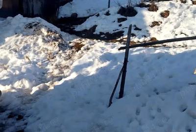 Vand casa batraneasca locuibila, in zona de munte, Apuseni&Teren Pret:3euro m 6400m, com. Scarisoara - 5