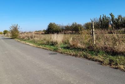 Teren de 4000 mp, în Cărpiniș - 2