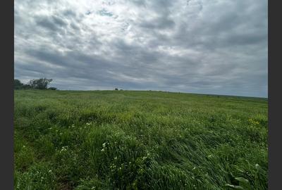 Teren Construcții intravilan de 3010 mp, în Central - 3