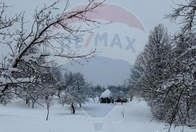 Teren de 4193 mp, în Breb - 3