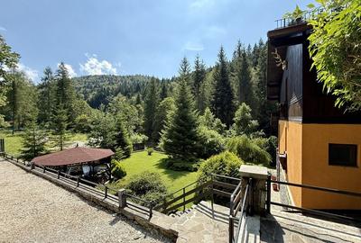 Vila de exceptie in Sinaia, mobilata, utilata, cu vedere superba - 2