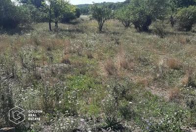 Terenuri 1300 mp, Lipova - 2