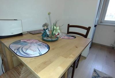 Apartament cochet de 3 camere, etaj 2/4, Grigorescu, Alexandru Vlahuta Apartament cochet de 3 camere, etaj 2/4, Grigorescu, Alexandru Vlahuta - 21