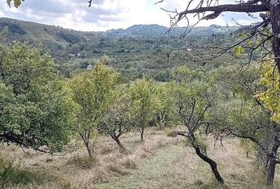 Teren de 12000 mp, în Suslănești