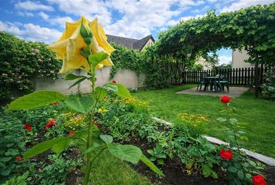 Casă individuală cu 3 camere cu Teren 490 Mp în Central - 1