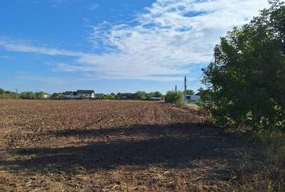 Snagov- Ciofliceni, loturi de casa intre 504-670mp, Șerban Cantacuzino! Snagov- Ciofliceni, loturi de casa intre 504-670mp, Șerban Cantacuzino! - 9