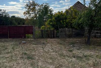Casă cu 4 camere cu Teren 1480 Mp în Hodoni - 4