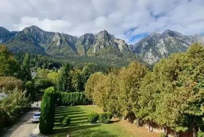 Casa Superba 12 Camere Busteni Zamora - 2