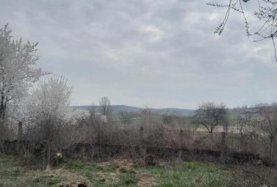 Casă cu 3 camere cu Teren 22 Mp în Craiva - 5
