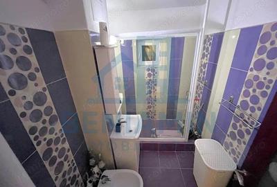 Apartament-2 Semi-Parter-Mobilat-Utilat-Rovine-Langa Damarin - 9