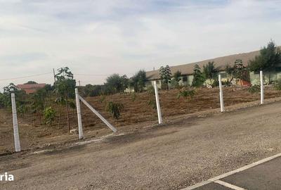 Teren de 7000 mp, în Exterior Vest - 2