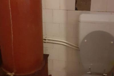 Casă cu 3 camere în Brâznic - 1