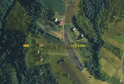 Teren intravilan in Risca, sat Dealu Mare! - 2
