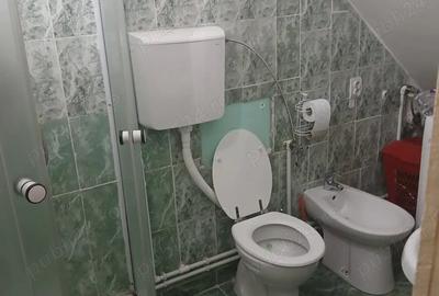 Casă cu 2 camere cu Teren 110 Mp în Săvârșin - 2