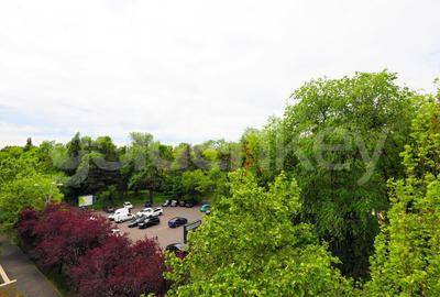 Apartament spatios 4 camere | vedere spre parc - 1