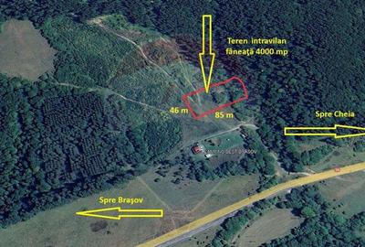 Teren de 4003 mp, în Babarunca - 1