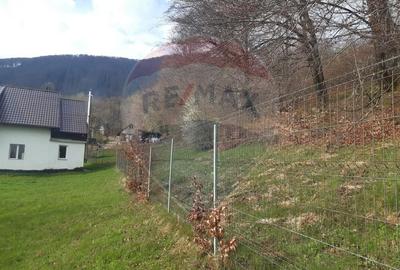 Casă individuală cu 7 camere cu Teren 3580 Mp în Tohănița - 40