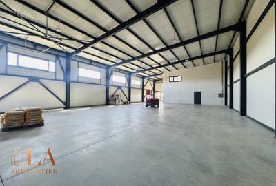 Spațiu industrial, de 425 mp, în Domnești - 13