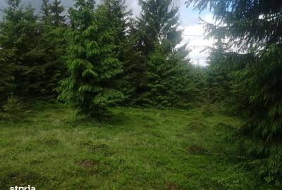 Spațiu comercial, în Beliș